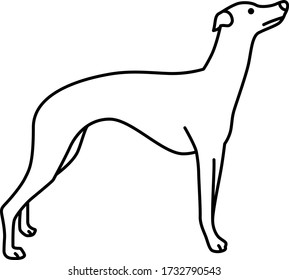 An icon illustration of a Whippet