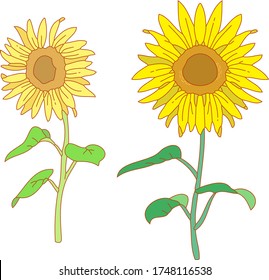 Icon illustration of yellow sunflower