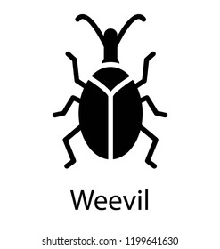 Icon of a insect from a beetle family 