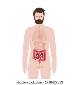 Icon of intestine in human body. Isolated male silhouette. Digestive system concept. Examination of internal organs. Anatomical poster. Medical banner flat vector illustration for clinic or education