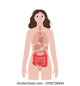 Icon of intestine in human body. Isolated female silhouette. Digestive system concept. Examination of internal organ. Anatomical poster. Medical banner flat vector illustration for clinic or education