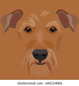 Icon with irish red terrier dog on red background. Vector illustration in flat style.