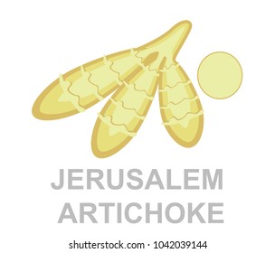 icon Jerusalem artichoke whole and in section