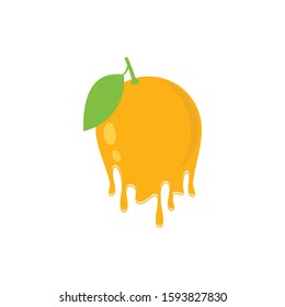 Icon of juicy orange, Logo Template Design Vector Illustration