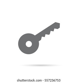 Icon key gray on a white background
