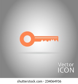 Icon key on the background. Flat design style. Made in vector illustration