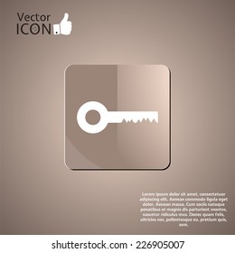 Icon key on the background. Made in vector