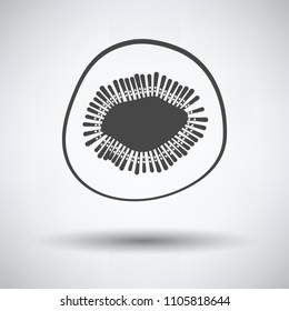 Icon of Kiwi on gray background, round shadow. Vector illustration.