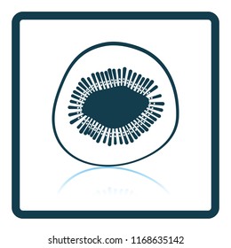 Icon of Kiwi. Shadow reflection design. Vector illustration.
