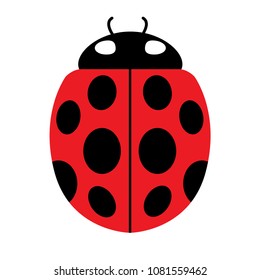 Icon ladybug on white background. Red ladybug, Insect beetle, Symbol of nature.