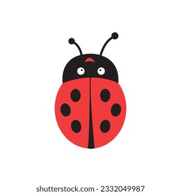 Icon of a ladybug on a white background.