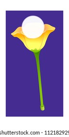 icon lamp