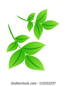  icon leaf