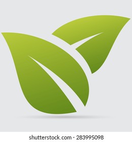 icon leaf