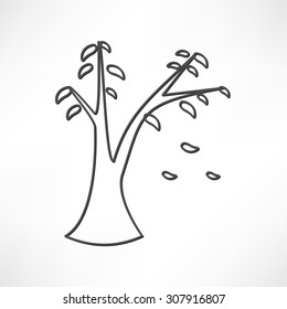 icon leaf