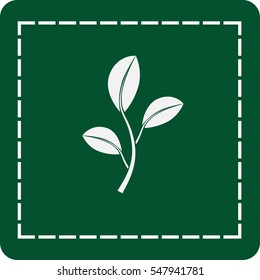 icon of leaf