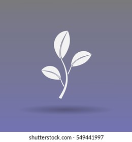 icon of leaf