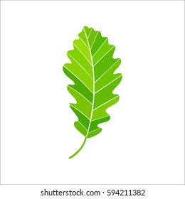 icon leaf
