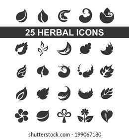 Icon leaf, black and white silhouettes plant and flower