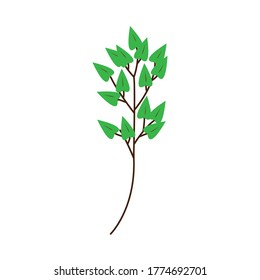 icon leaf green simple vector.