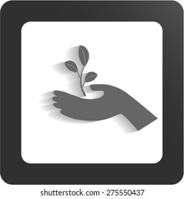 icon of leaf in the hand