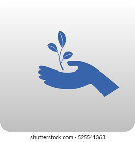 icon of leaf in the hand