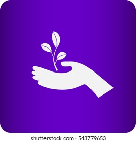 icon of leaf in the hand