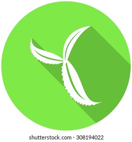 Icon leaf with a long shadow