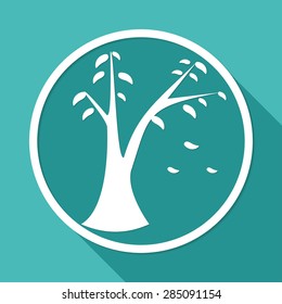 Icon leaf on white circle with a long shadow