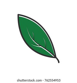 Icon leaf vector / logo illustration isolated white background