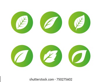 icon leafs, plant, tree nature logo design