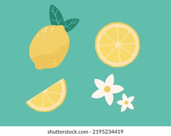 Icon lemon. Whole lemon cut in half, lemon slice, lemon flower