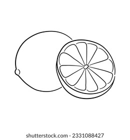 Icon of Lime. Hand drawn sketch. Retro vintage design. Vector illustration.