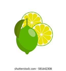 icon lime, vector illustration on white background. the whole fruit and cut into pieces. citrus.