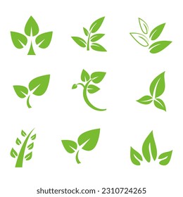 icon logo natural, herbal, organic, ecology, leaves.