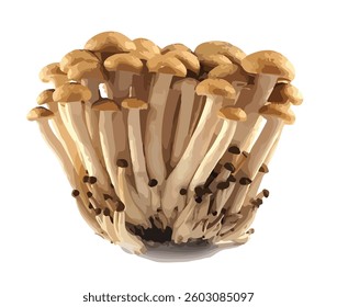 icon logo sign food brown mushrooms mushroom art design element