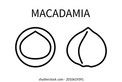 Icon Macadamia Line In A Simple Style. Source Obtaining Milk Vegetable Origin. Vector sign in a simple style isolated on a white background. Original size 64x64 pixels.