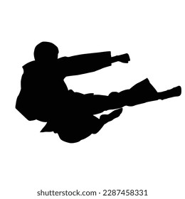 icon of man doing taekwondo kick vector illustration design