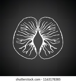 Icon of Mandarin. Black background with white. Vector illustration.