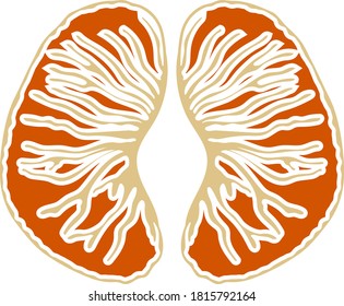 Icon Of Mandarin In Ui Colors. Flat Color Design. Vector Illustration.