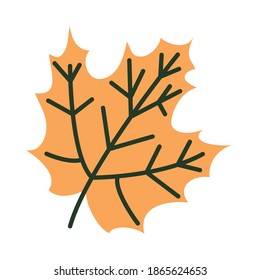 icon of maple leaf over white background, half line half color style, vector illustration