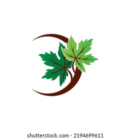 icon of a maple leaf. raster illustration, background logo template.