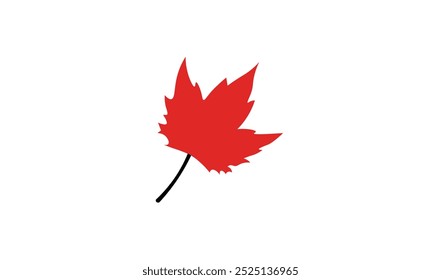 icon of a maple leaf vector illustration design 