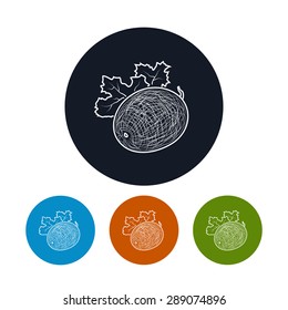 Icon Melon , Four Types of Colorful Round Icons Melon , Line Style, Vector Illustration