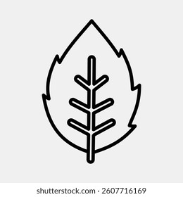 Icon mint. Plant leaves elements. Icon in line style.