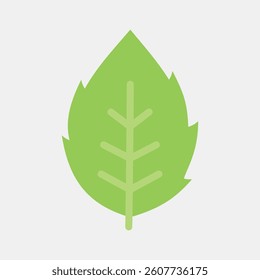 Icon mint. Plant leaves elements. Icon in flat style.