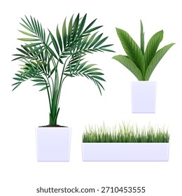 Icon mockup 3D featuring various tree. Simple, clean, and versatile for branding, presentations, and UI design. Perfect for nature themes and ecological projects