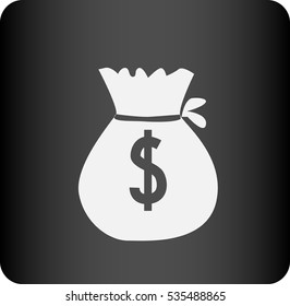 icon of moneybag