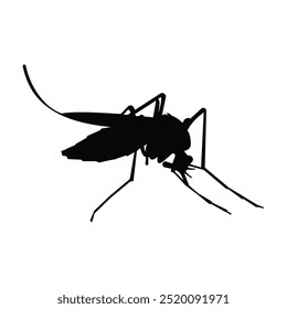 Icono de mosquito, Ilustración vectorial aislada sobre fondo blanco.