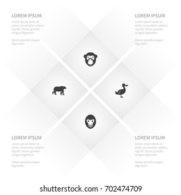 Icon Nature Set Of Monkey, Baboon, Canard And Other Vector Objects. Also Includes Bird, Duck, Orangutan Elements.